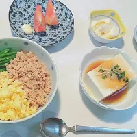 いつかのおひる🍱|もっつんさん