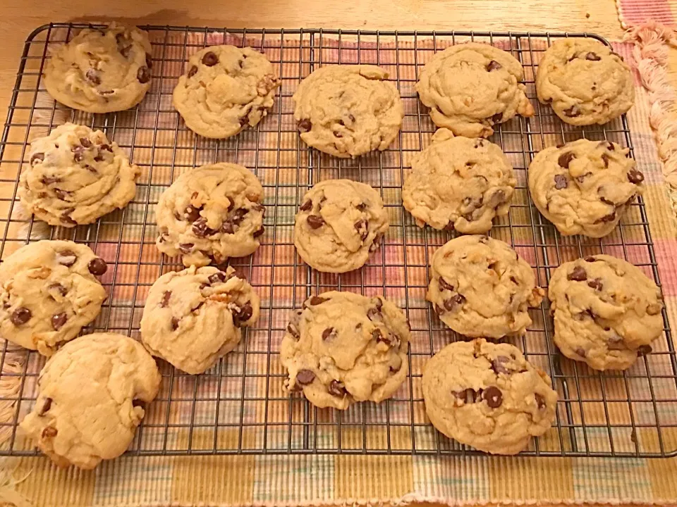 Homemade Fresh from the oven
Soft batch Chocolate chip walnut cookies🍪🍪🍪|🌺IAnneさん