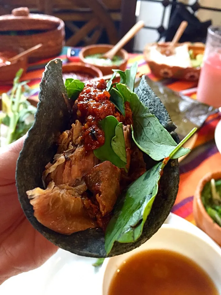 Taco de barbacoa de borrego con pápalo y salsa borracha.|Eduardo Mestre Sさん