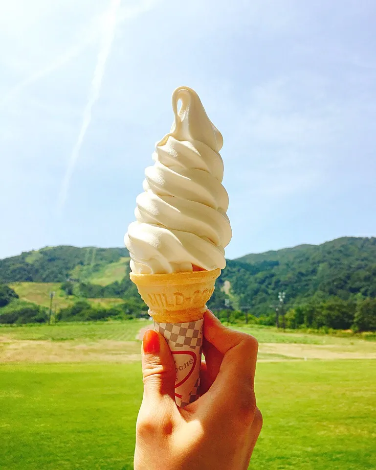 夏山ソフト😎🍦🏔|leeさん