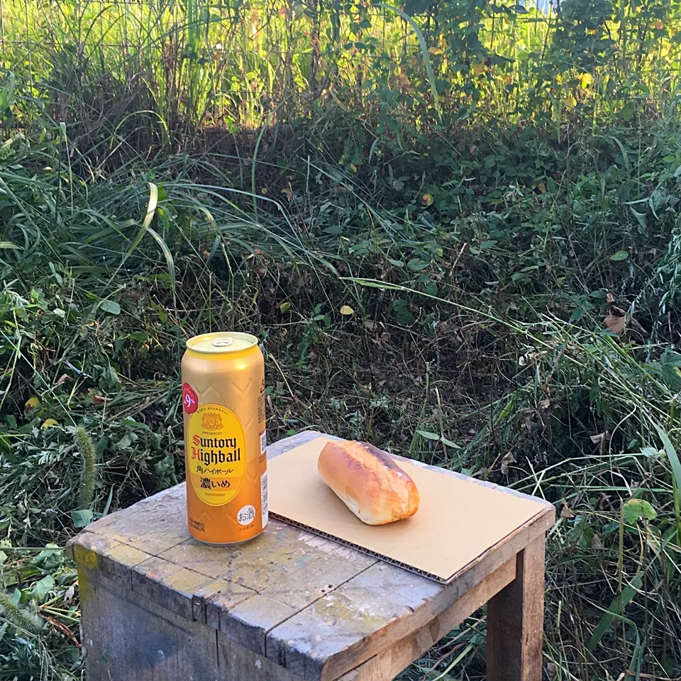 夕方ピクニック♬ (▰˘◡˘▰)☝︎|Yoshinobu Nakagawaさん