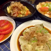 トマトと茄子の和風サラダ
とトマトのバジルマリネ
と豆腐とトマトの炒め煮
ともやしのキャベツ巻き