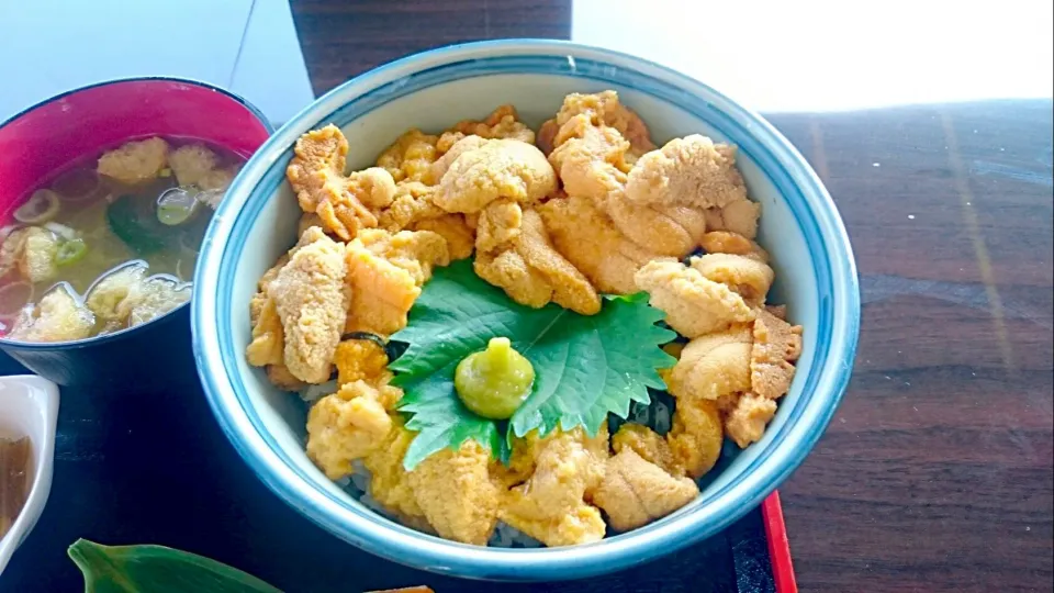 Snapdishの料理写真:生うに丼|大宮 輝久さん