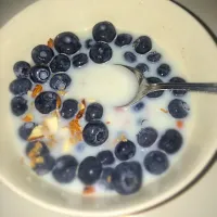 Blueberry almond cereal|sofia freedさん