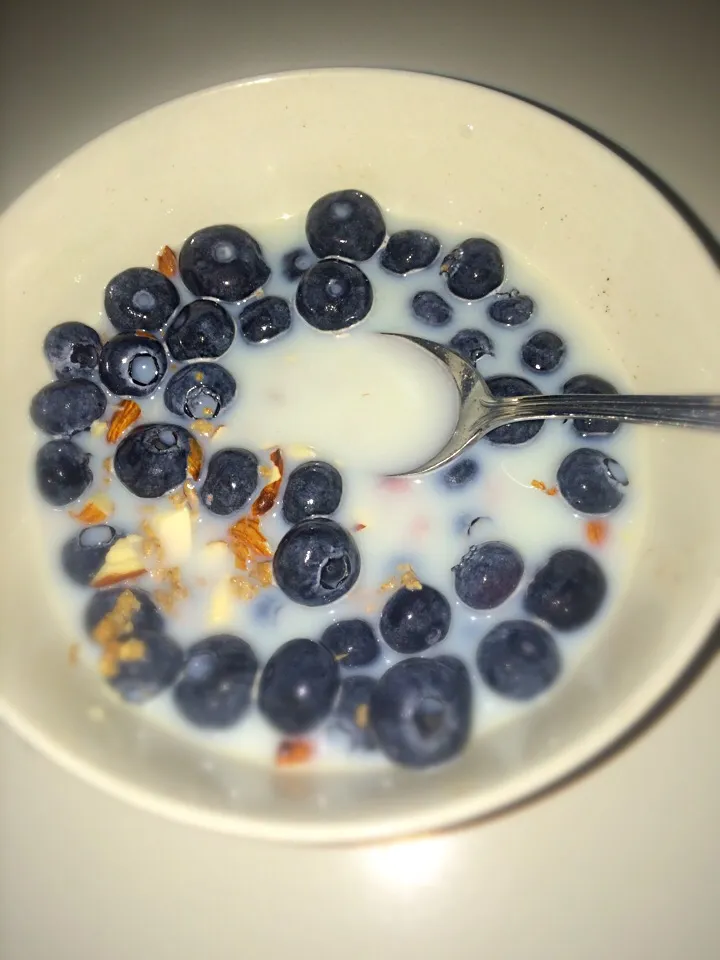 Blueberry almond cereal|sofia freedさん