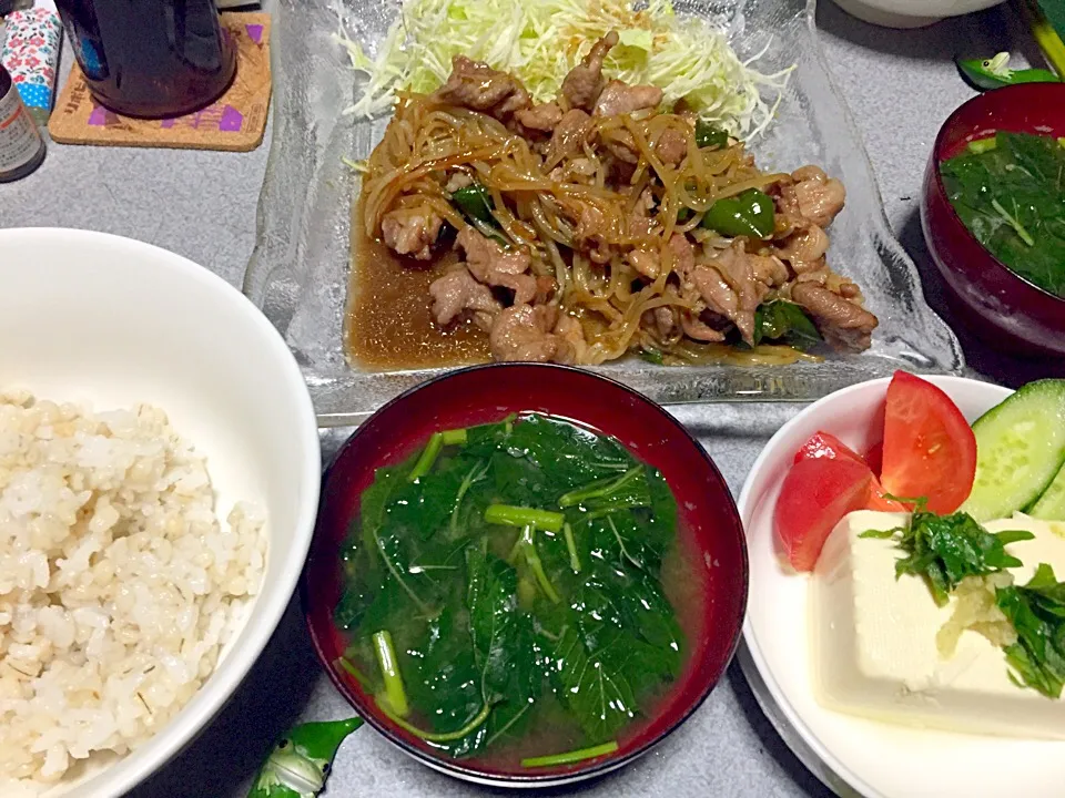 もち麦飯、肉もやしピーマン炒め、キャベツ、モロヘイヤ味噌汁、冷奴(しそ生姜乗せ)トマトきゅうり|ms903さん