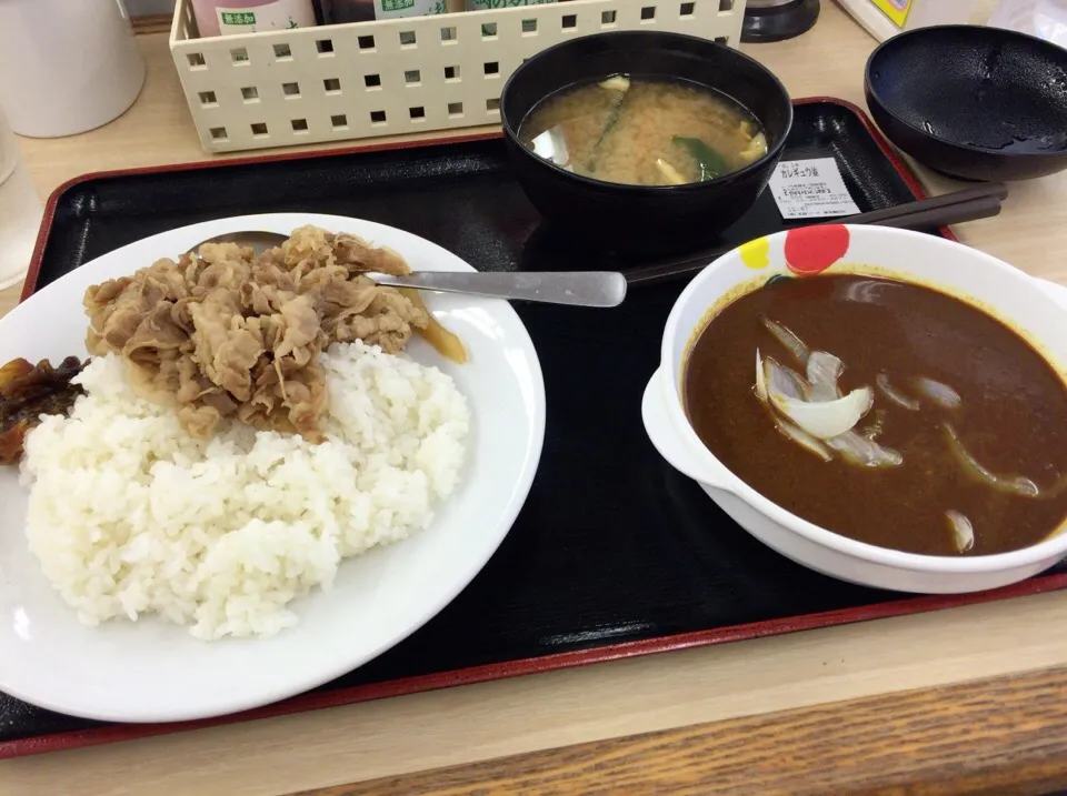 松屋でカレギュウ🍛|Kojiさん