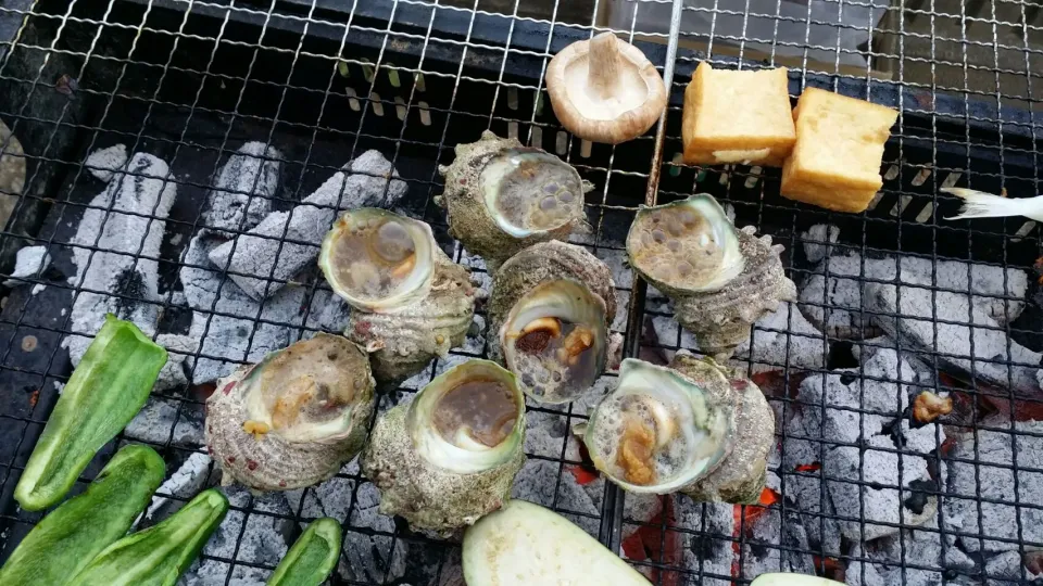 BBQでサザエの味噌焼き🎶|mayumiさん