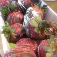 chocolate covered strawberries|Ana Herediaさん