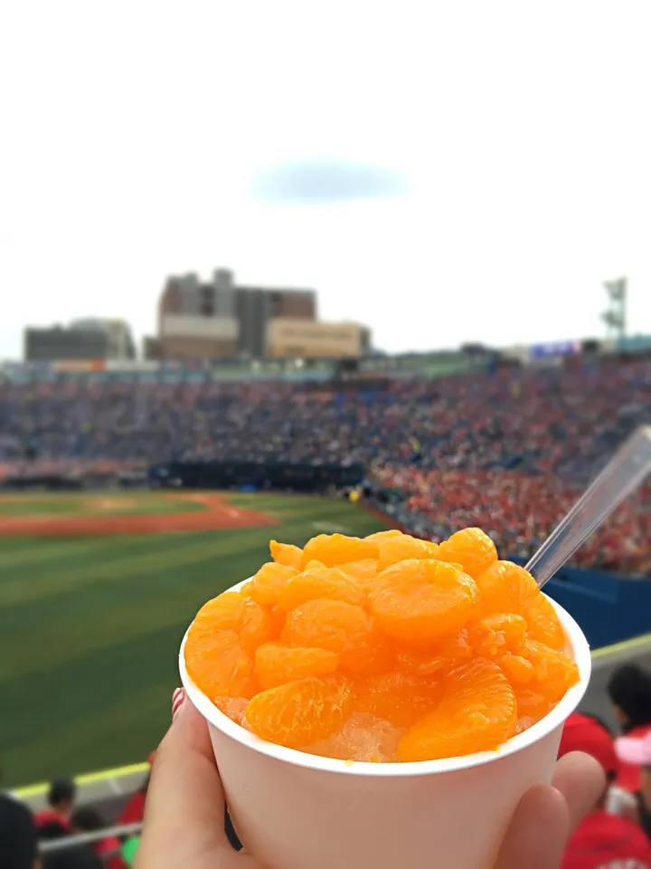 ハマスタ名物みかん氷。
このあと柳沢慎吾さまの始球式に見とれてただのみかん水になったっていう…|ツナコさん