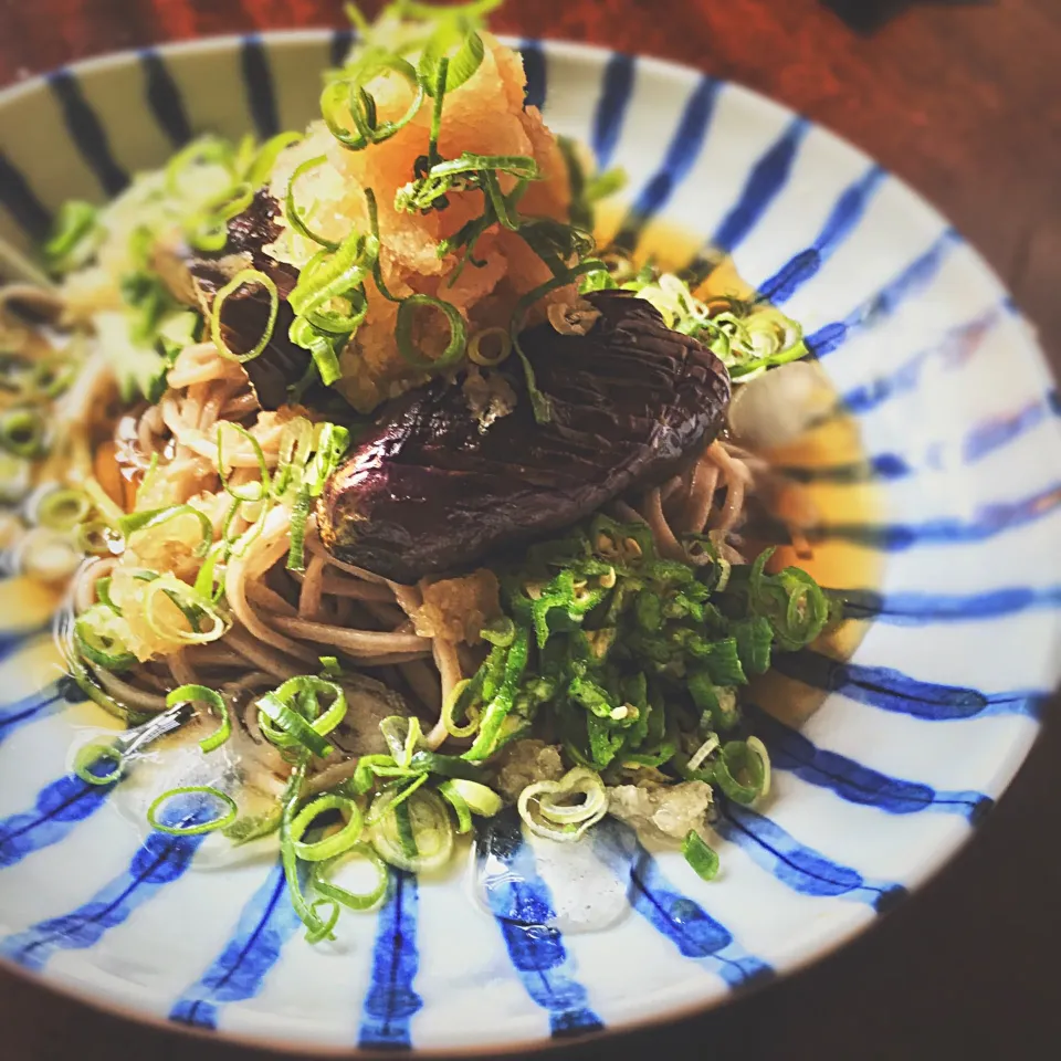 揚げなすおろし蕎麦🇯🇵和食はいいですね〜✨ そしてまたビリヤニ作りします🇵🇰|yo-chiさん