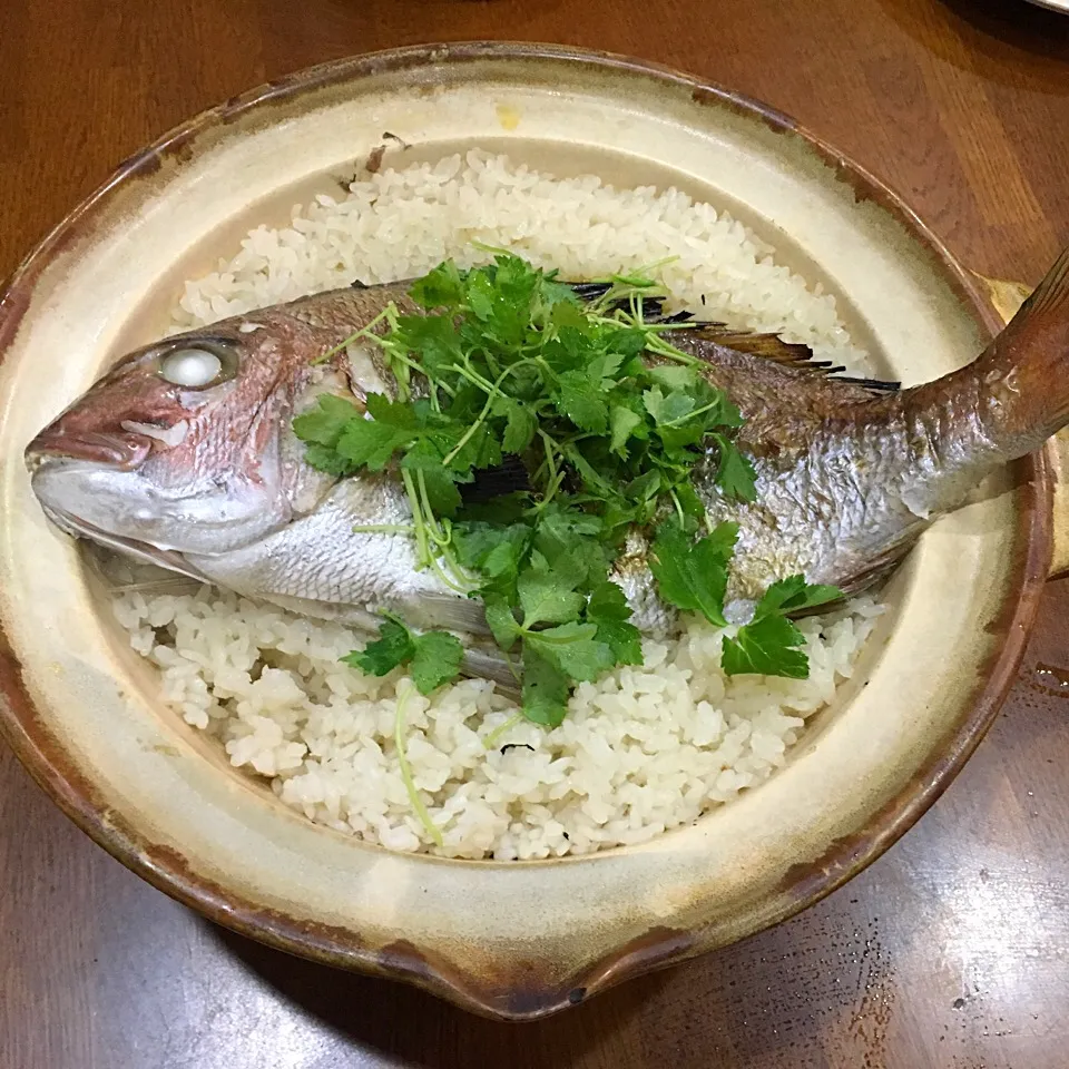 友達の釣果で 鯛飯|sakuramochiさん