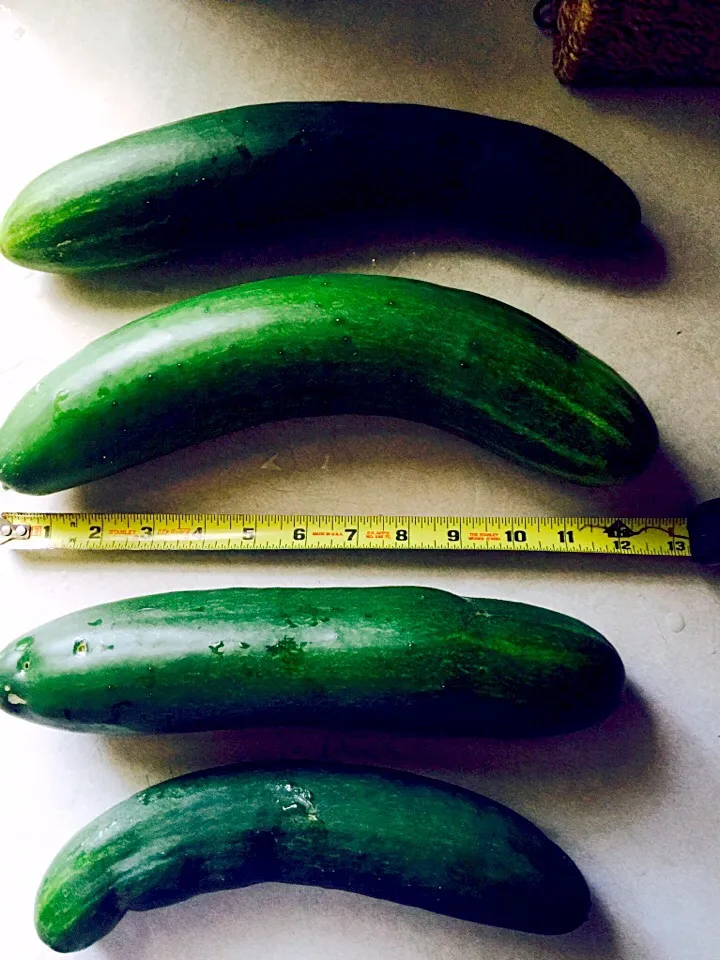 Cucumber salad organic from my garden|Polly Annaさん