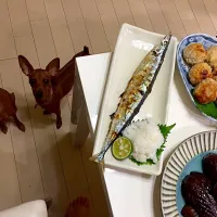 Snapdishの料理写真:今年初 新さんま！
犬添え|Shizuko Hasebeさん