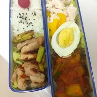 Snapdishの料理写真:ダイエット弁当2016/08/18|アサヒカリさん