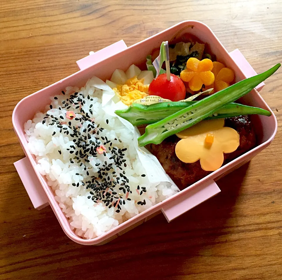 Snapdishの料理写真:8/18 ハンバーグ弁当🍱|カタツムリさん