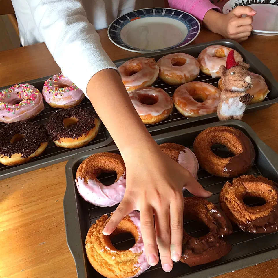 どれにしようか〜オールドファッションドーナツ🍩|まどさん