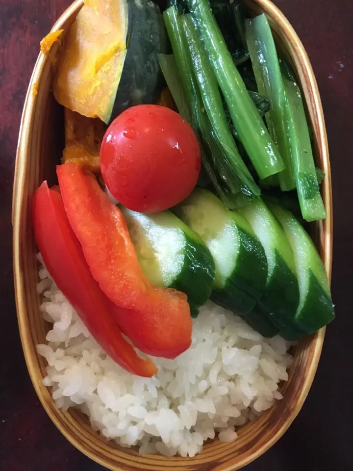 野菜だけ弁当。ぬか漬け庭からはまり始めました。|aiさん