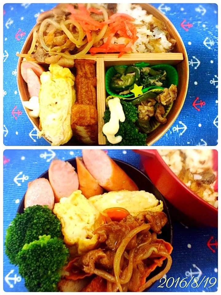 今日のお弁当◡̈⃝|shijuさん