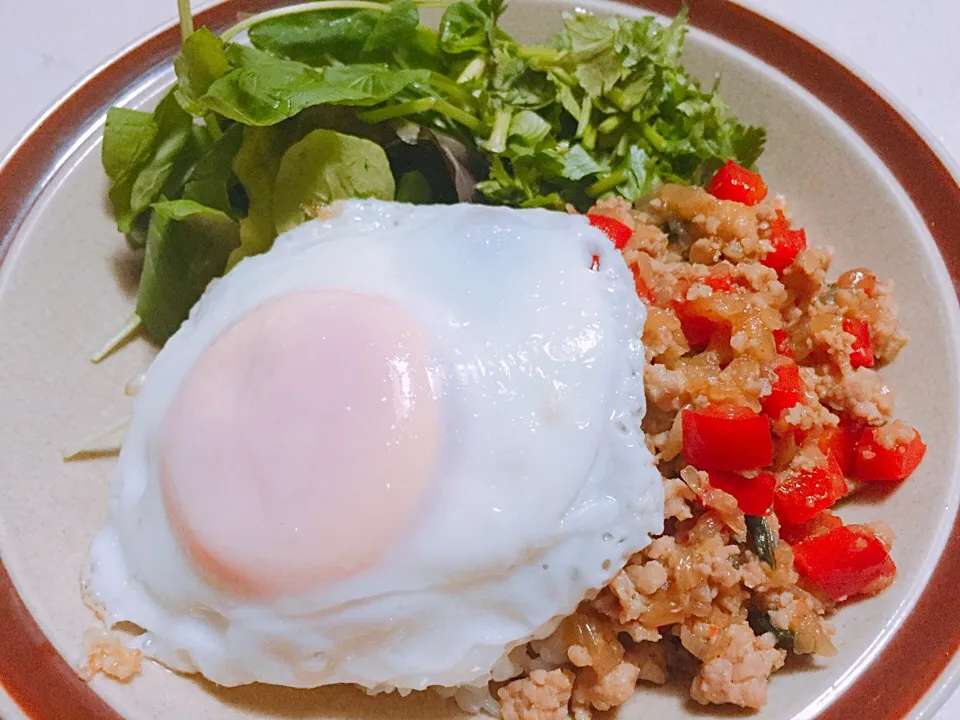 Snapdishの料理写真:Dinner 8.19
パクチーたっぷりガパオライス
Gaprao Rice|moonmoonさん