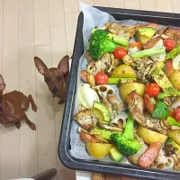 Snapdishの料理写真:ギュウギュウ焼き
犬添え|Shizuko Hasebeさん