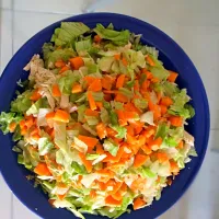 Snapdishの料理写真:Ensalda de pollo con verduras|Josseline Mirandaさん