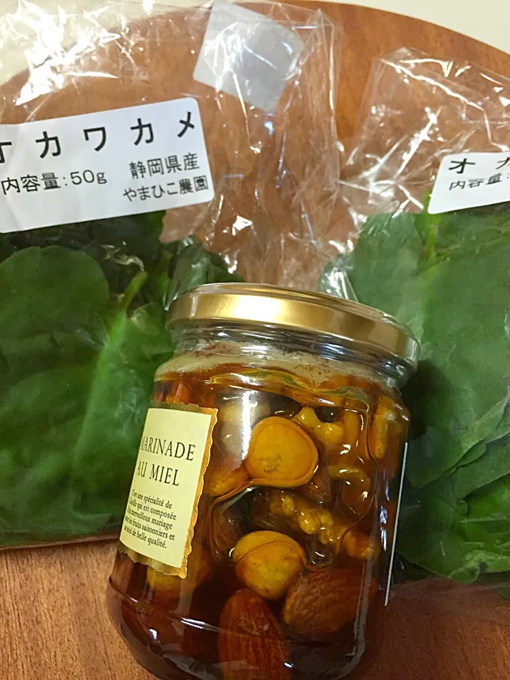 栗とナッツの蜂蜜
オカワカメ？|つみぼんさん