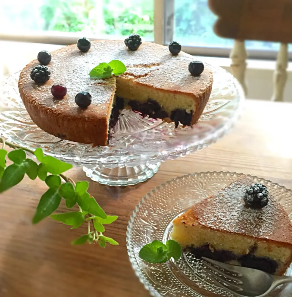 マダム とんちんさんの料理 外はカリッと中はふんわり、ブルーベリーのスクエアケーキ🎵|カタツムリさん