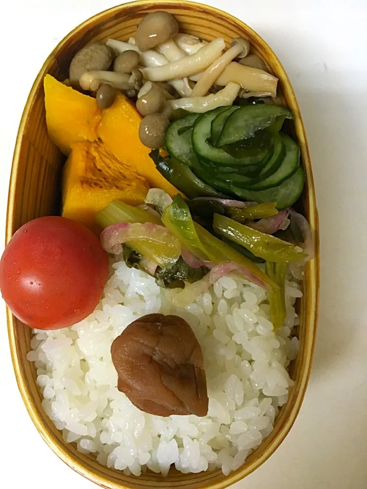 ヴィーガン弁当。かぼちゃ、つるむらさきと紫玉ねぎのサラダ、しめじポン酢、わかめときゅうりの酢の物|aiさん