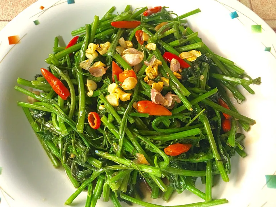 ยอดบวบผัดน้ำมันหอย
Top zuchini stir fried with oyster sauce|ครัวอิอ้วน... Chubby Cookさん