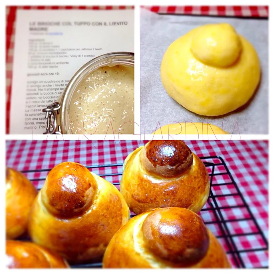 Brioche col Tuppo - Sicilian Brioche|laura giardinaさん