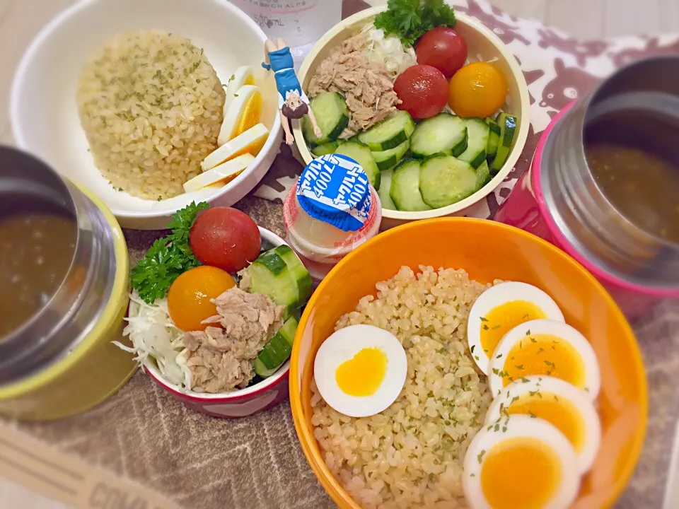 玄米ご飯&夏野菜キーマカレー&茹で玉子&ツナサラダの夫婦お弁当♪|桃実さん