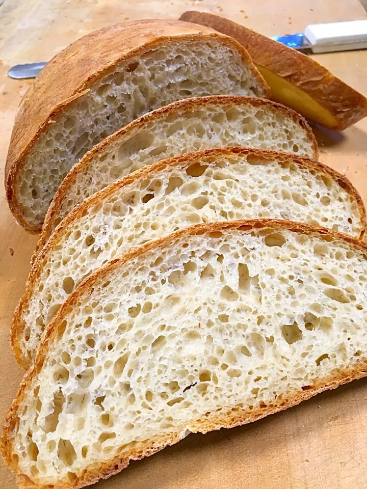 Ciabatta|gonbenさん