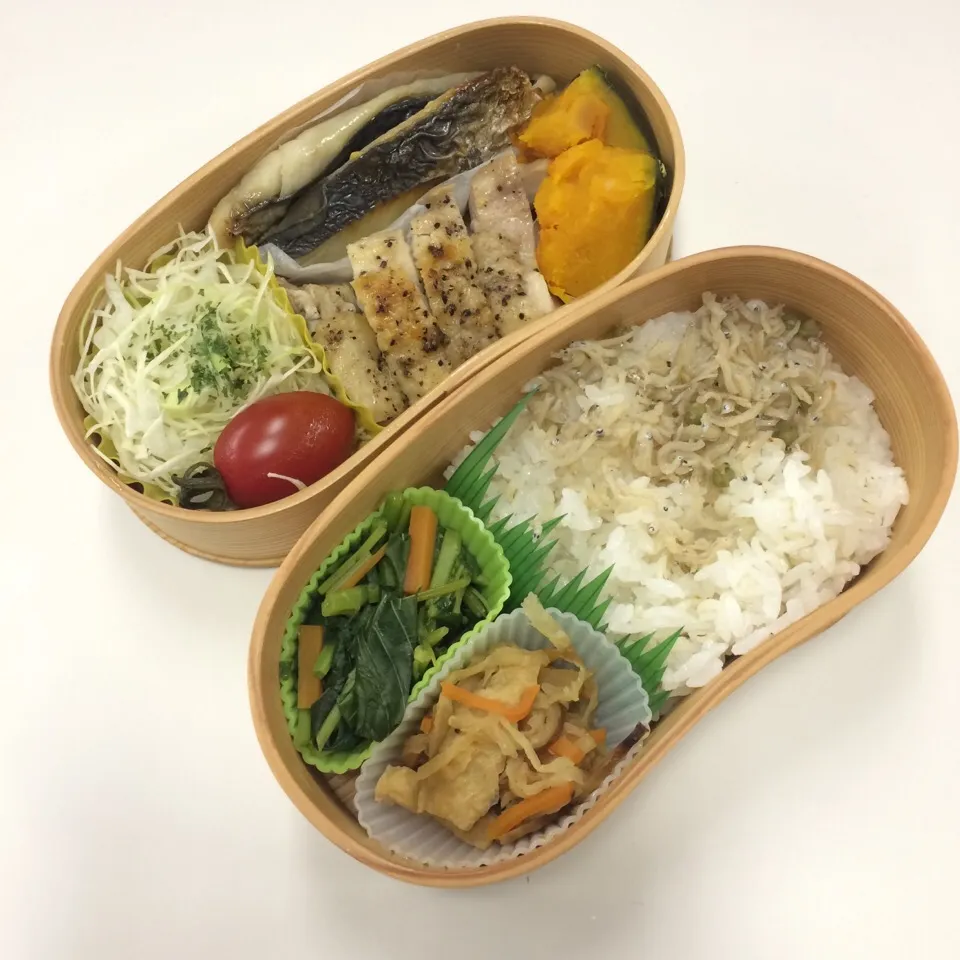 弁当（鶏グリル焼き、鰆西京焼き、かぼちゃ、モロヘイヤおひたし、千切り大根、アイコトマト、ちりめん山椒）|SasaMasa213さん