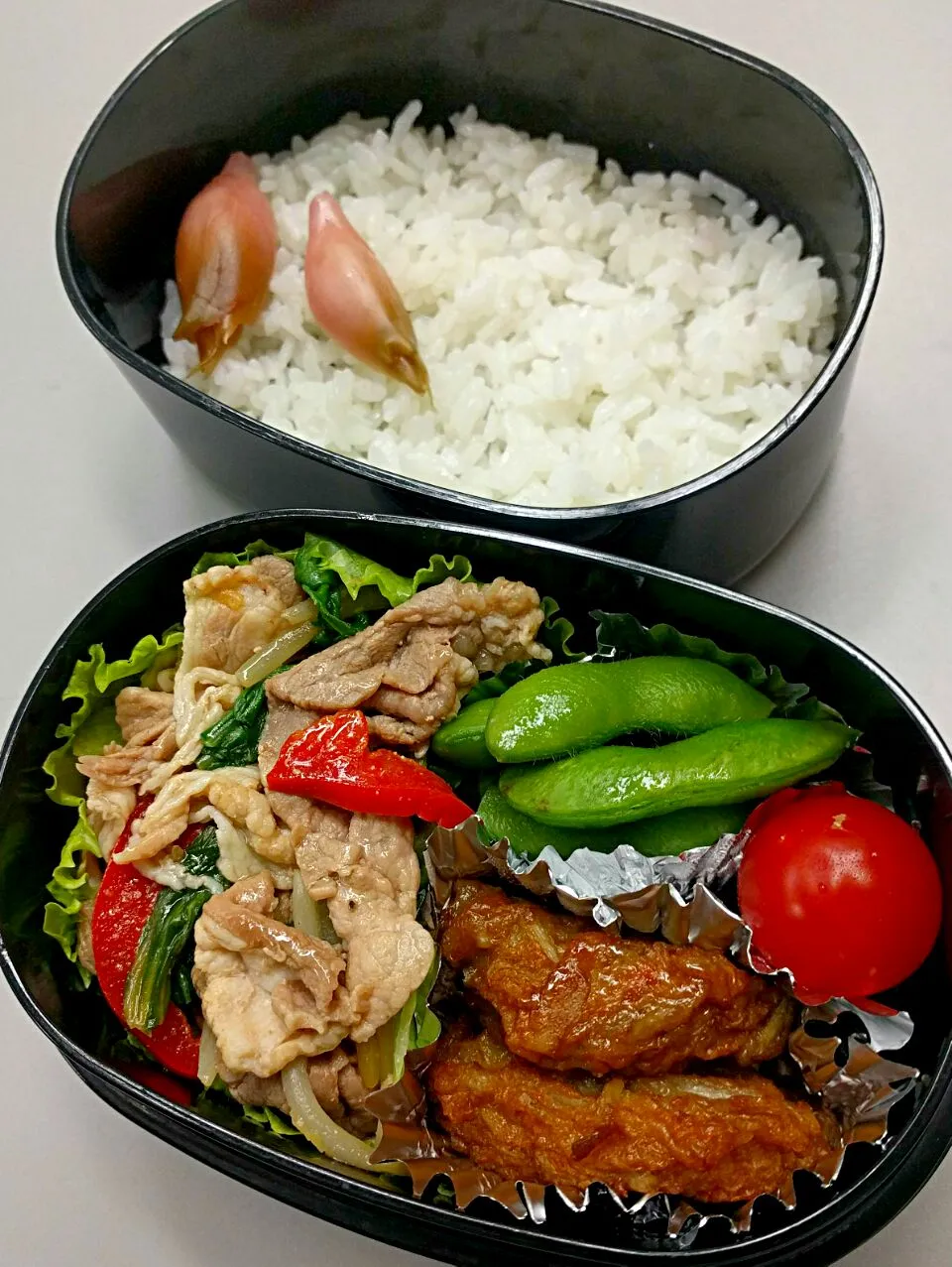 8月22日のサラメシは

豚肉と野菜の中華炒め
ゴボウ天煮
枝豆
プチトマト
茗荷の甘酢漬け

です😊|ニッパーさん