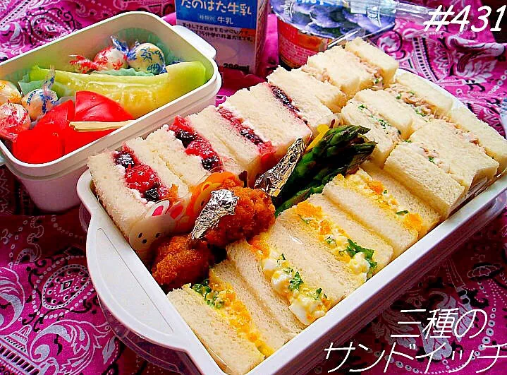 3種のサンドイッチ弁当(⊹＾◡＾)ノo.♡ﾟ｡*|Blueberry🫐さん