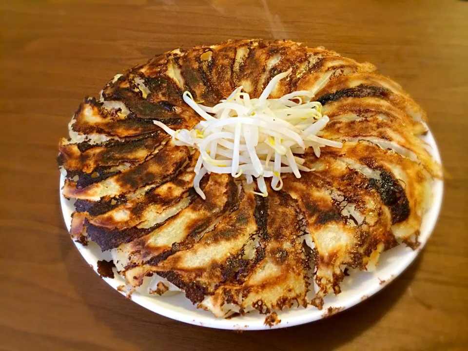 餃子パーティ|ぱぴこさん