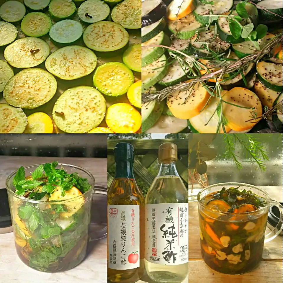 YuIchi KimaさんのZucchine e melanzane alla scapece in vaso
ズッキーニと茄子のスカペーチェ(エスカベージュ) ミントで爽やかに。|KimaLABOさん