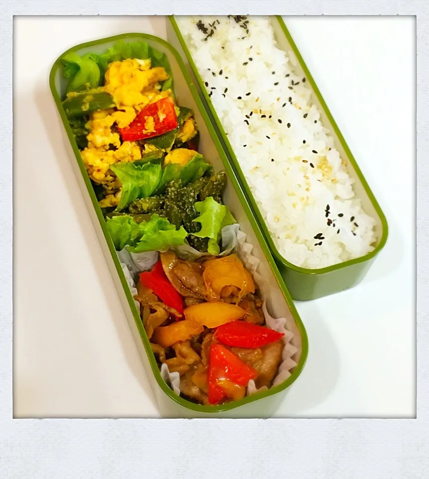 Snapdishの料理写真:今日の主人のお弁当|kimikoさん