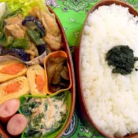 Snapdishの料理写真:胡麻味噌炒め弁当