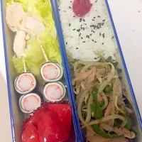 Snapdishの料理写真:ダイエット弁当2016/08/24|アサヒカリさん