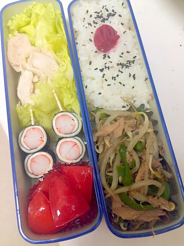 Snapdishの料理写真:ダイエット弁当2016/08/24|アサヒカリさん