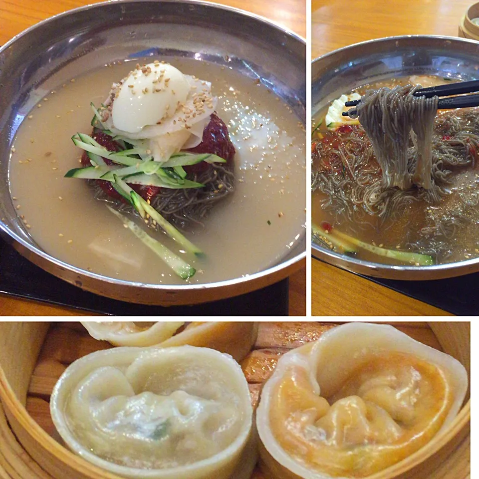 Snapdishの料理写真:水ビビン冷麺、餃子付き@板橋冷麺(大久保)|yoooochanさん