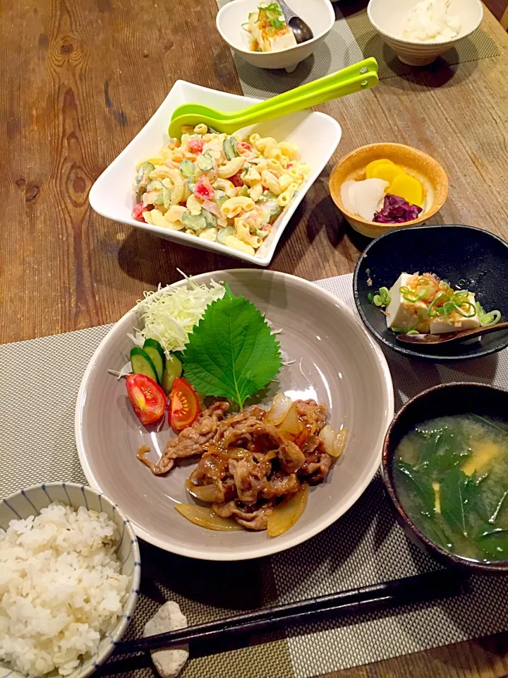 今日は生姜焼き🐷マカロニポテトサラダ🍃冷奴、お漬物、モロヘイヤと油揚げのお味噌汁✨|まみりんごさん