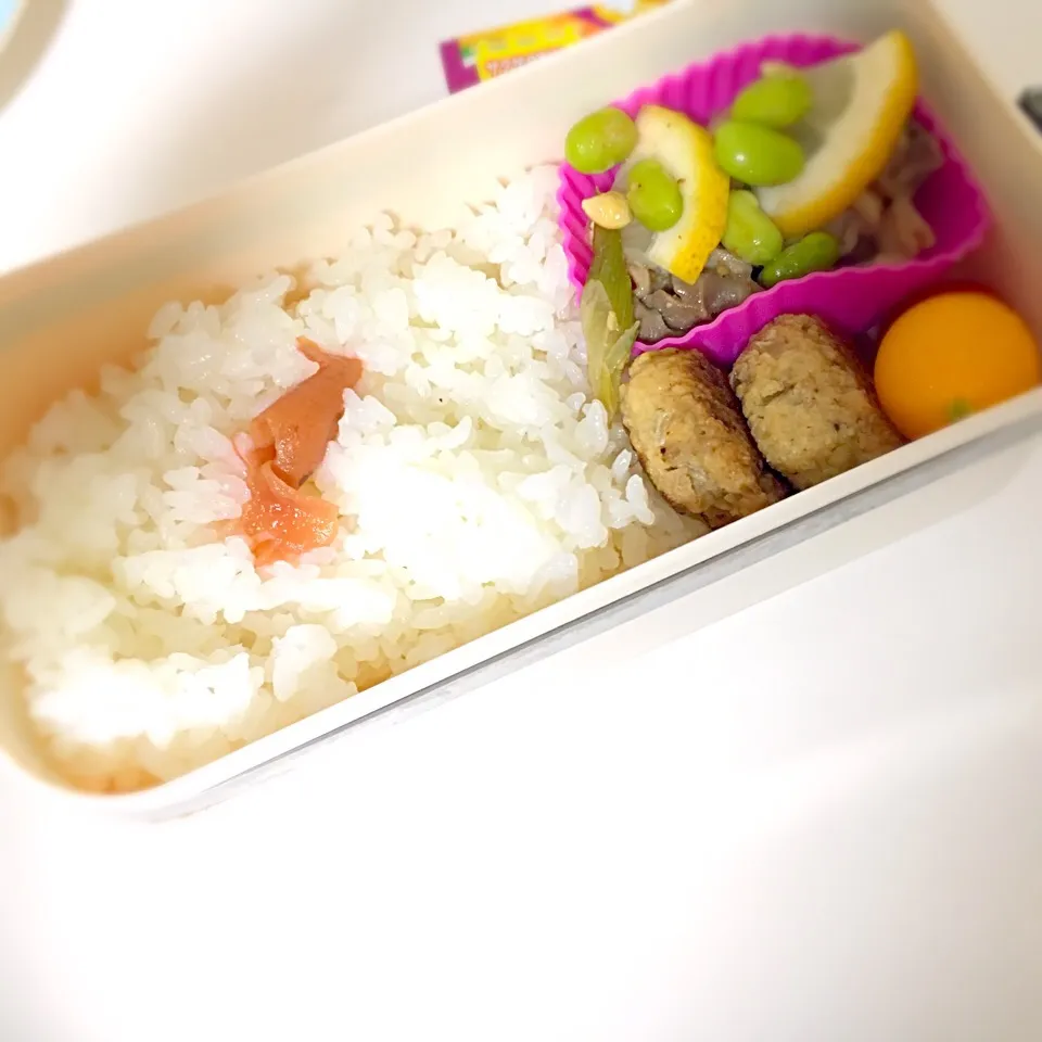 2016.08.25 パパ弁当|なみさん