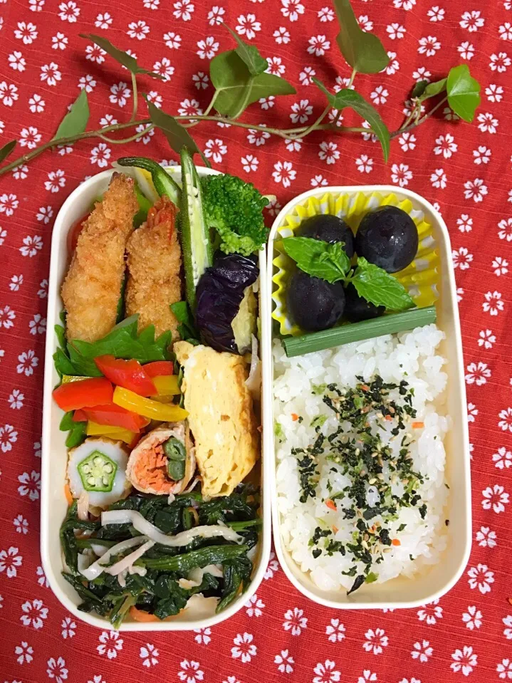 自分用のお弁当|Mikaさん