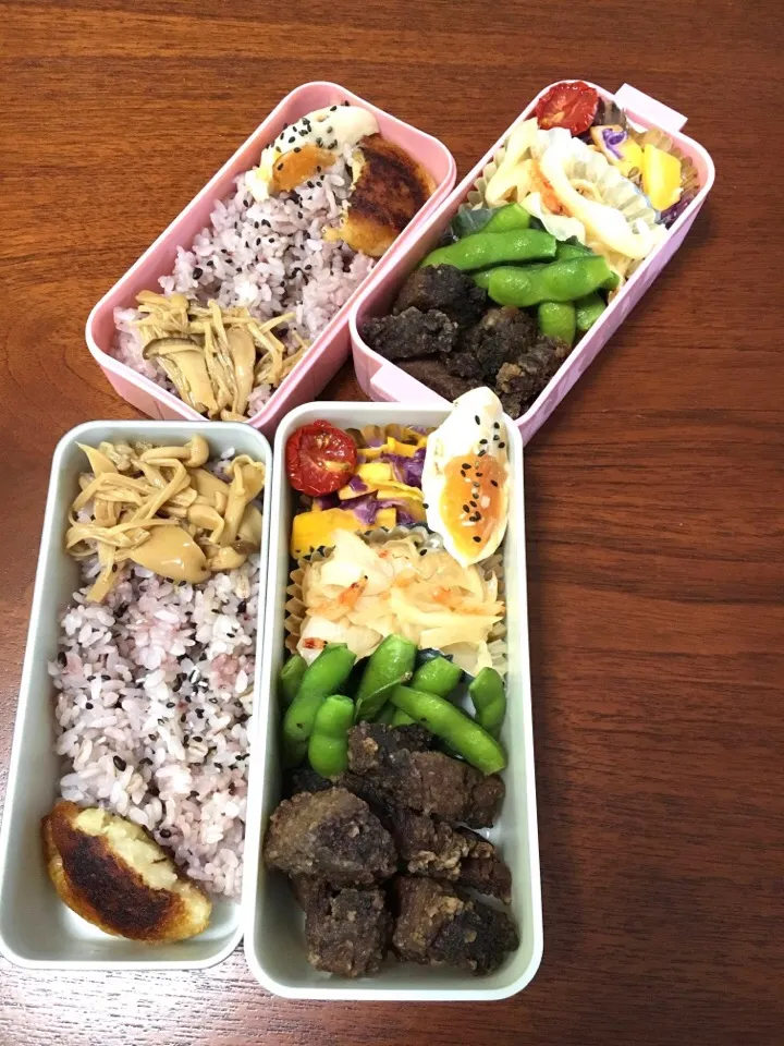 Snapdishの料理写真:8/25 お弁当|もっちさん