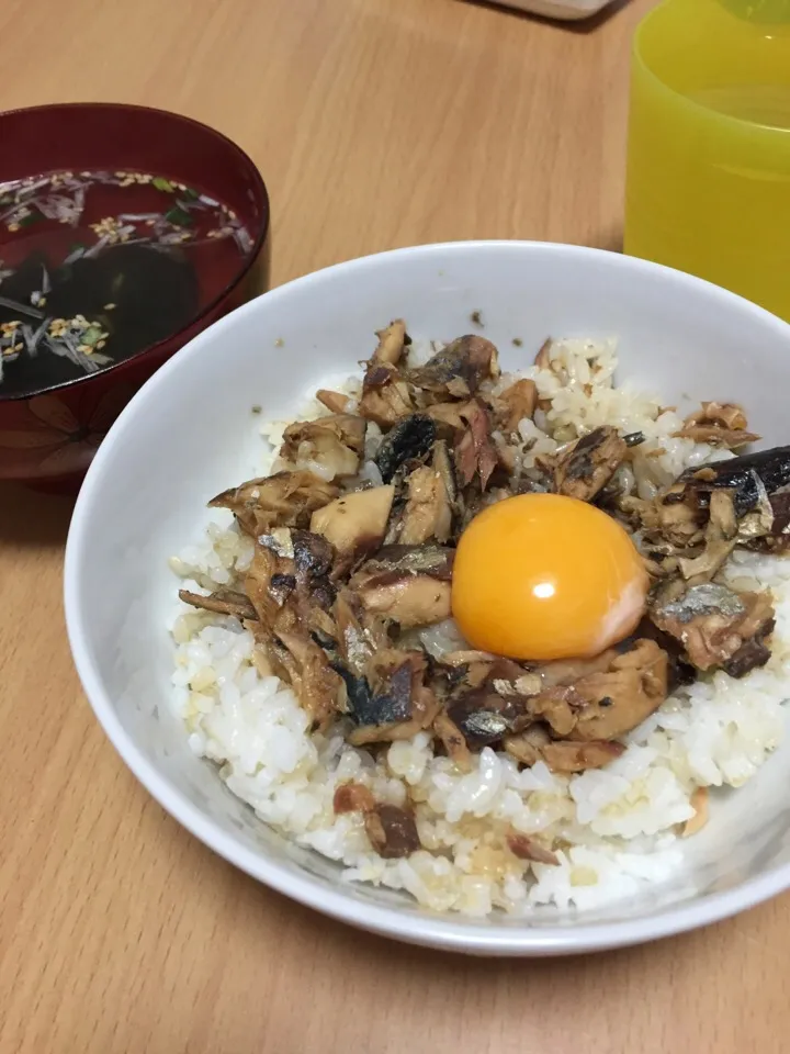 2016.05.25 鯖缶の甘辛丼|しおりさん