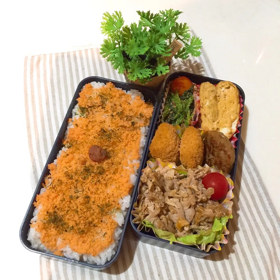 8/26❤︎主人のお弁当❤︎|Makinsさん