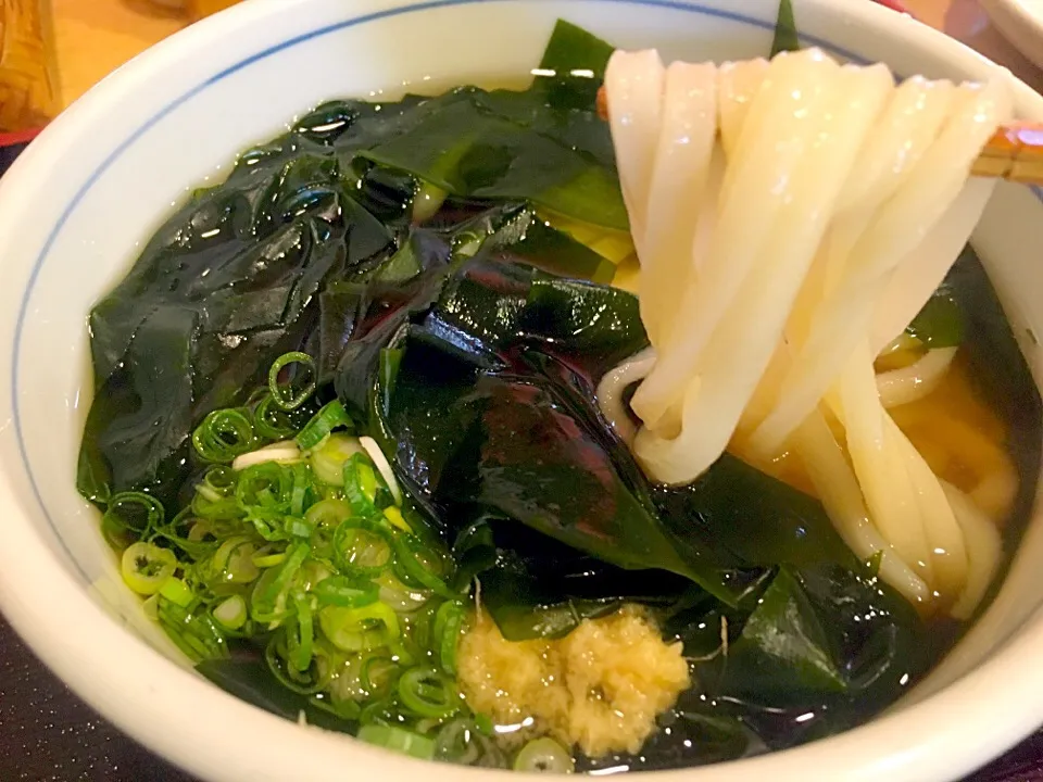 札幌寺屋 わかめうどん|pipioujiさん